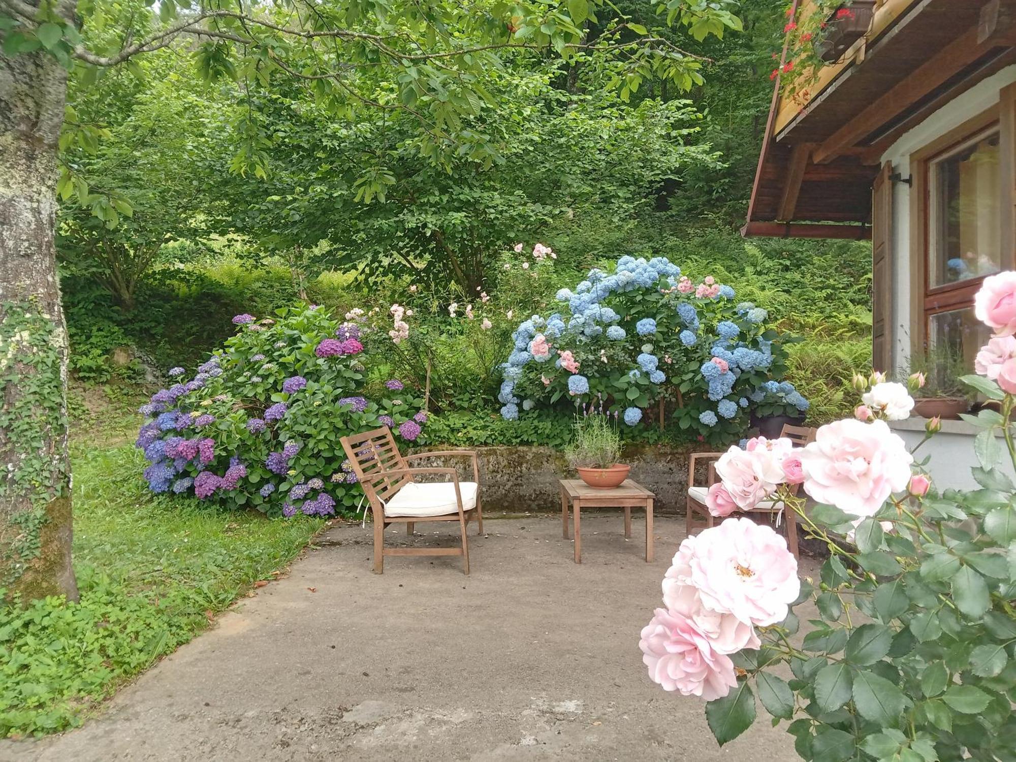 Holiday Home Vesna Brod na Kupi エクステリア 写真