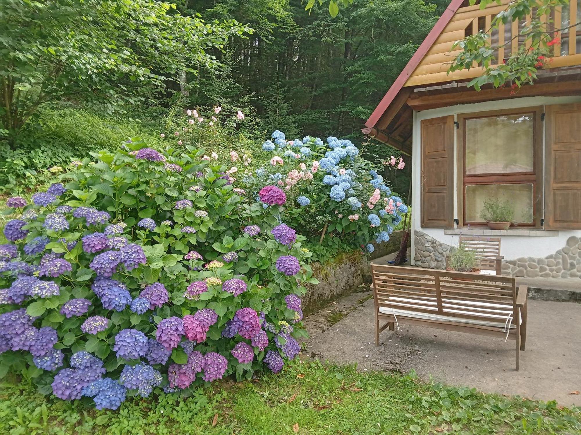 Holiday Home Vesna Brod na Kupi エクステリア 写真