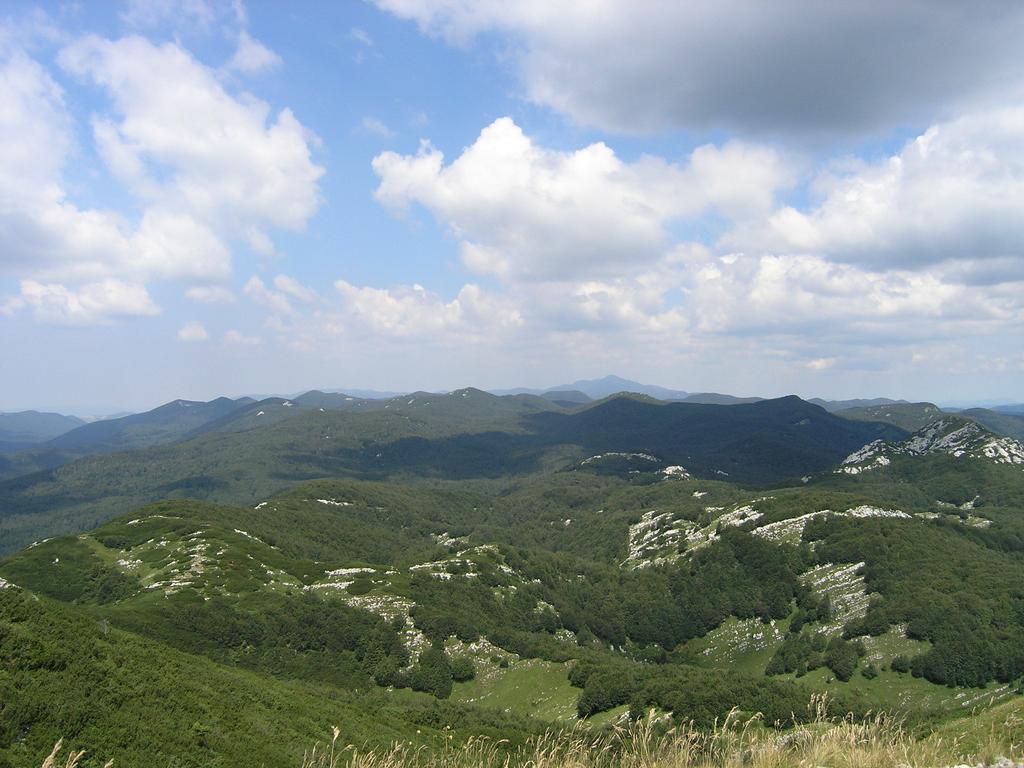 Holiday Home Vesna Brod na Kupi エクステリア 写真