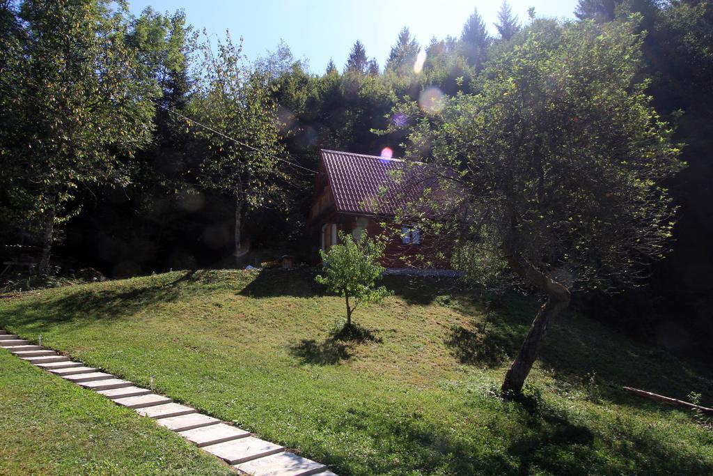 Holiday Home Vesna Brod na Kupi 部屋 写真